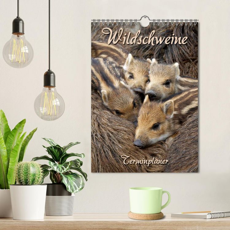 Produktbild: Wildschweine (Wandkalender 2026 DIN A4 hoch), CALVENDO Monatskalender