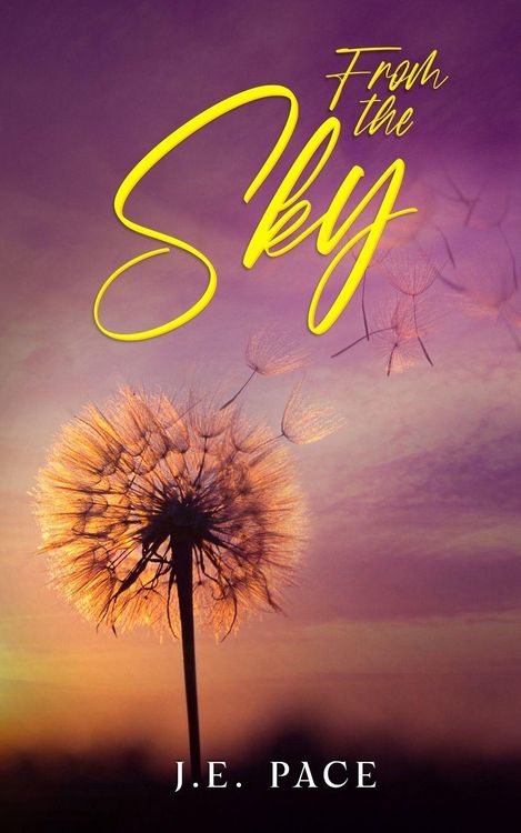 Produktbild: From the Sky
