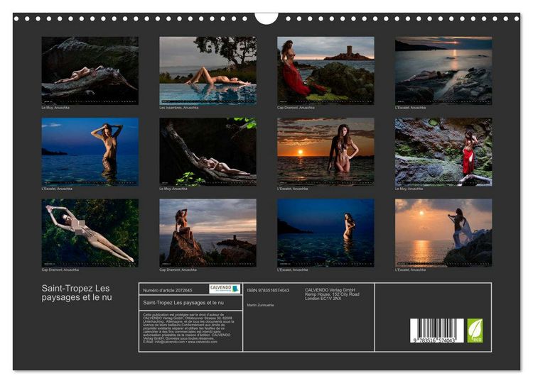 Produktbild: Saint-Tropez Les paysages et le nu (Calendrier mural 2026 DIN A3 vertical), CALVENDO calendrier mensuel