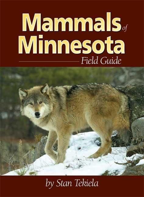Produktbild: Mammals of Minnesota Field Guide