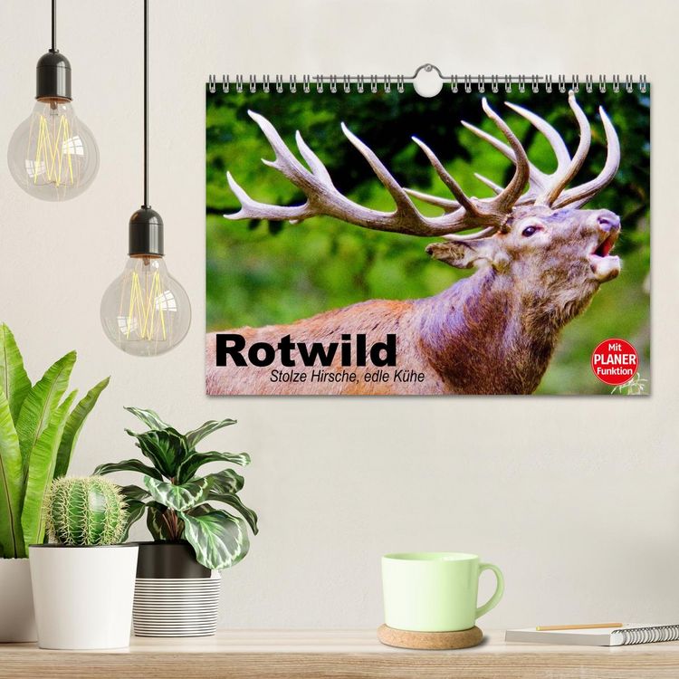 Produktbild: Rotwild. Edle Hirsche, stolze K&uuml;he (Wandkalender 2026 DIN A4 quer), CALVENDO Monatskalender