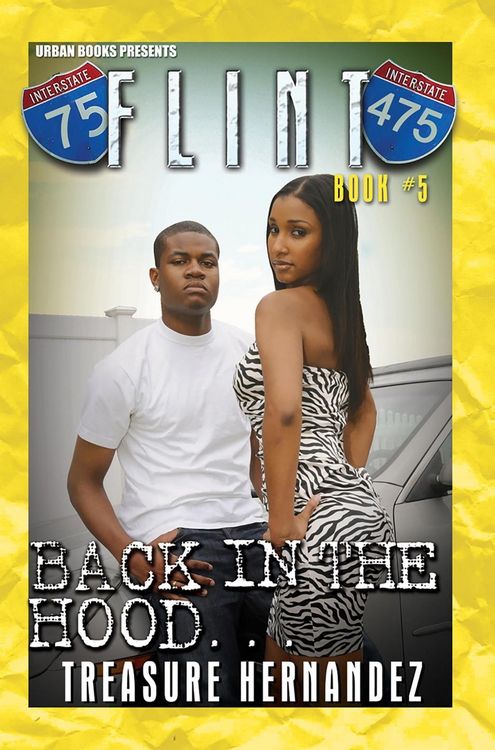 Produktbild: Flint Book 5: