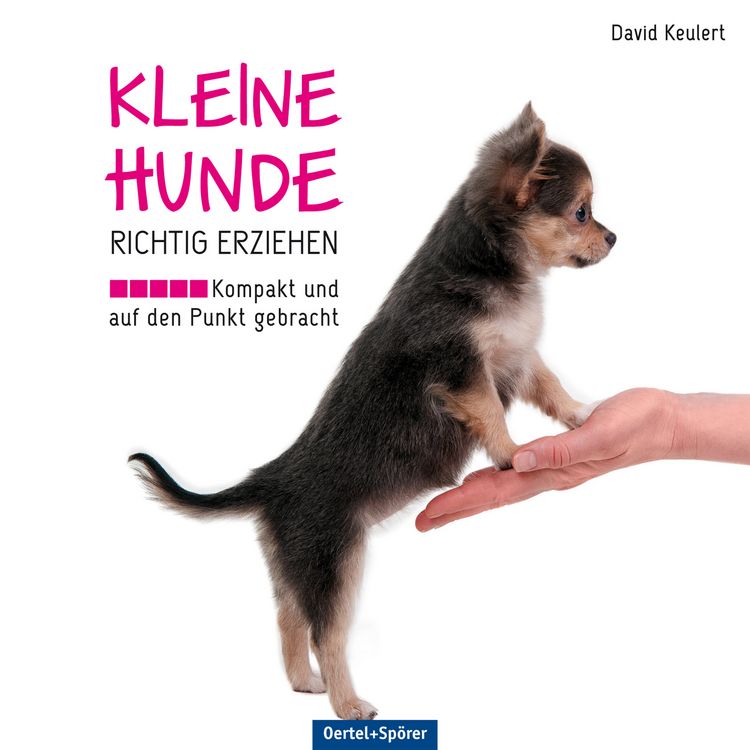 Produktbild: Kleine Hunde richtig erziehen