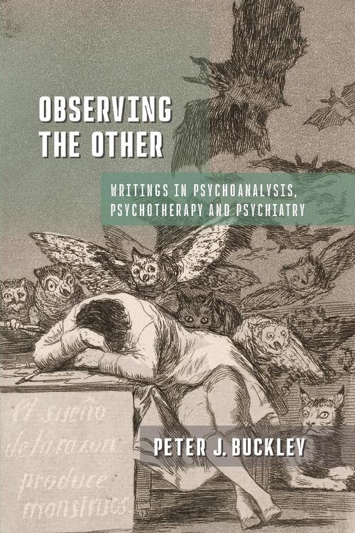 Produktbild: Observing the Other