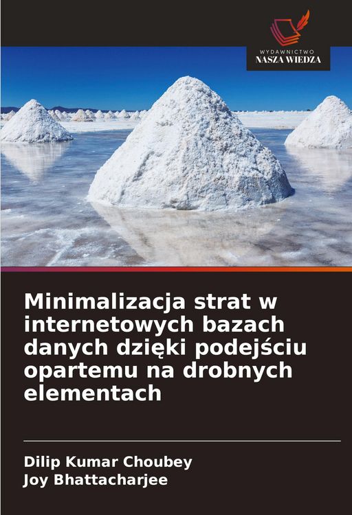 Produktbild: Minimalizacja strat w internetowych bazach danych dzi&iquest;ki podej&iquest;ciu opartemu na drobnych elementach