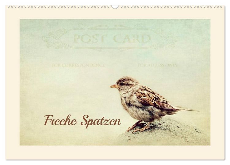 Produktbild: Freche Spatzen (Wandkalender 2026 DIN A2 quer), CALVENDO Monatskalender