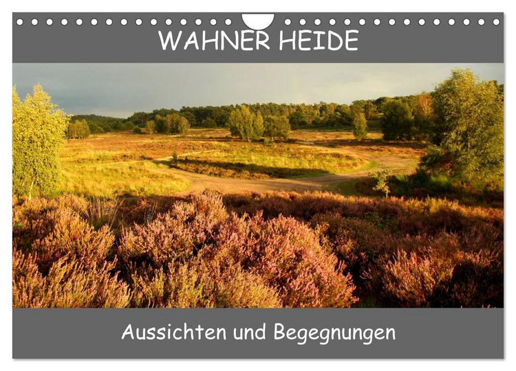 Produktbild: Wahner Heide - Aussichten und Begegnungen (Wandkalender 2026 DIN A4 quer), CALVENDO Monatskalender