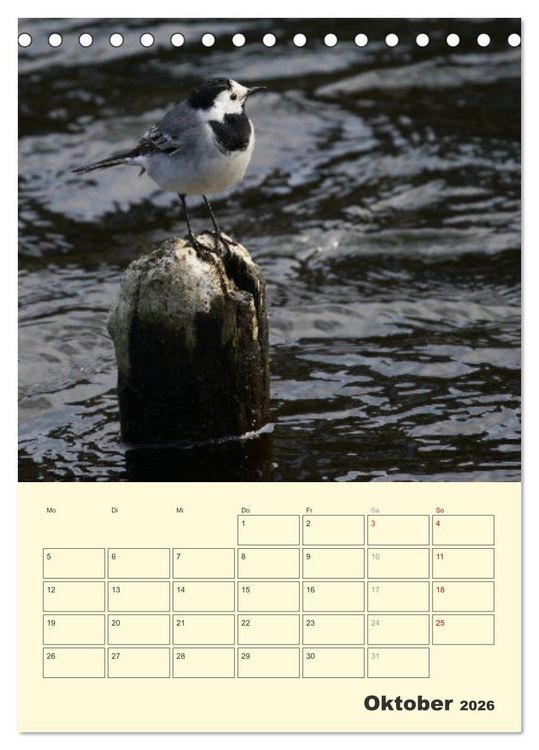 Produktbild: Vogelwelt an der Sieg (Tischkalender 2026 DIN A5 hoch), CALVENDO Monatskalender