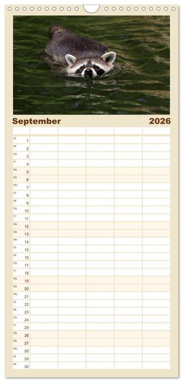 Produktbild: Familienplaner 2026 - Waschb&auml;ren mit 5 Spalten (Wandkalender, 21 x 45 cm) CALVENDO