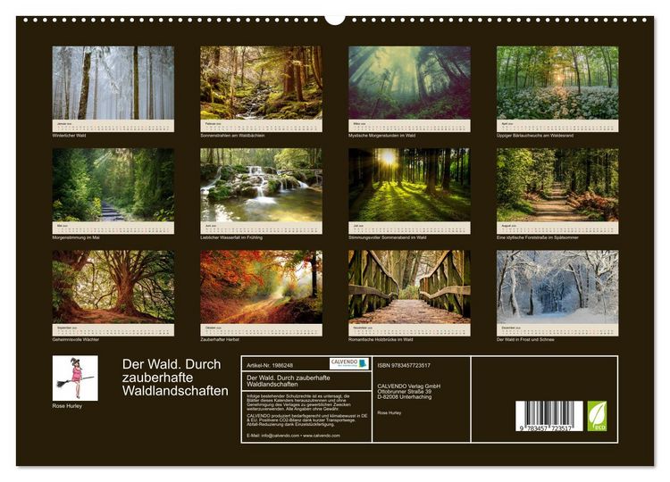 Produktbild: Der Wald. Durch zauberhafte Waldlandschaften (hochwertiger Premium Wandkalender 2026 DIN A2 quer), Kunstdruck in Hochglanz