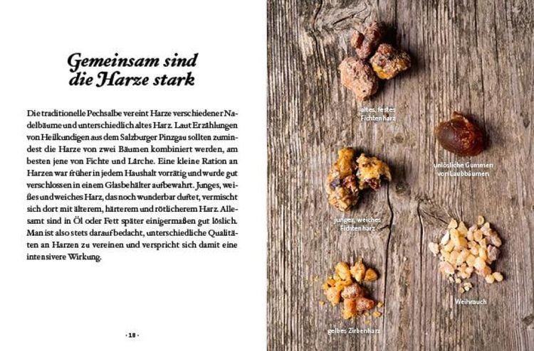 Das große kleine Buch: Harz- und Pechsalben