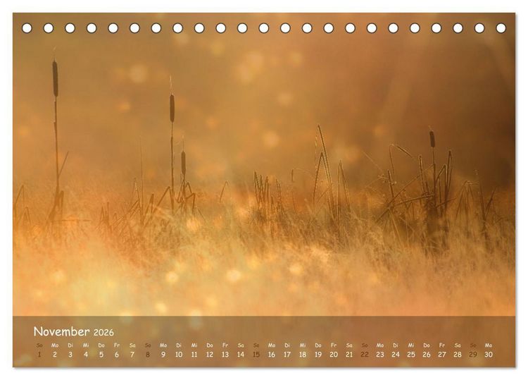 Produktbild: Zauberhaftes Norderstedt (Tischkalender 2026 DIN A5 quer), CALVENDO Monatskalender