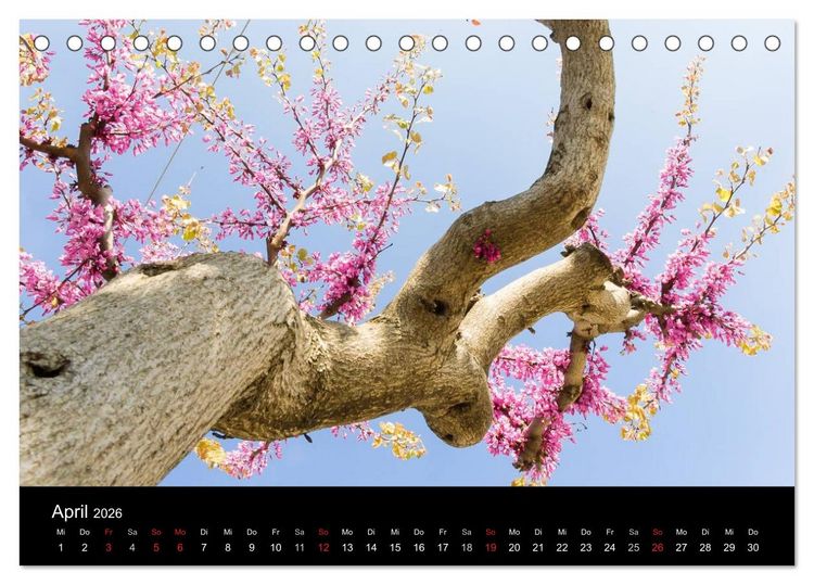 Produktbild: Insel Ischia (Tischkalender 2026 DIN A5 quer), CALVENDO Monatskalender