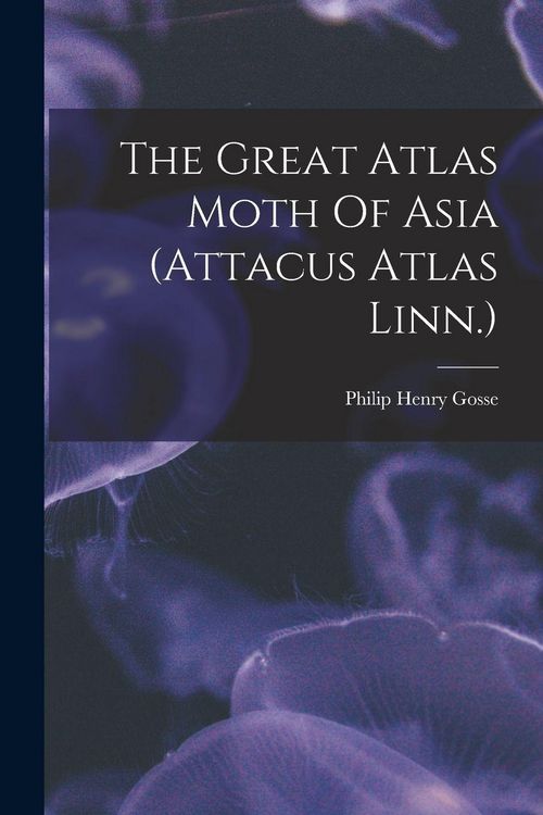 Produktbild: The Great Atlas Moth Of Asia (attacus Atlas Linn.)