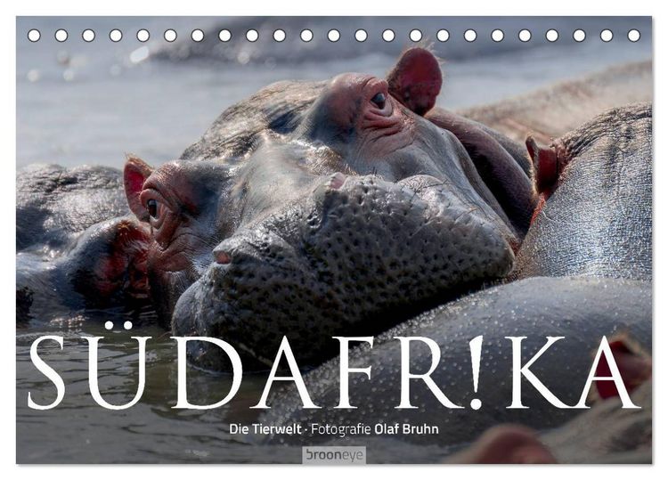 Produktbild: S&uuml;dafrika - Die Tierwelt (Tischkalender 2026 DIN A5 quer), CALVENDO Monatskalender