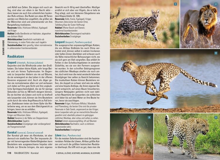 Produktbild: Stefan Loose Reisef&uuml;hrer S&uuml;dafrika, Lesotho und eSwatini