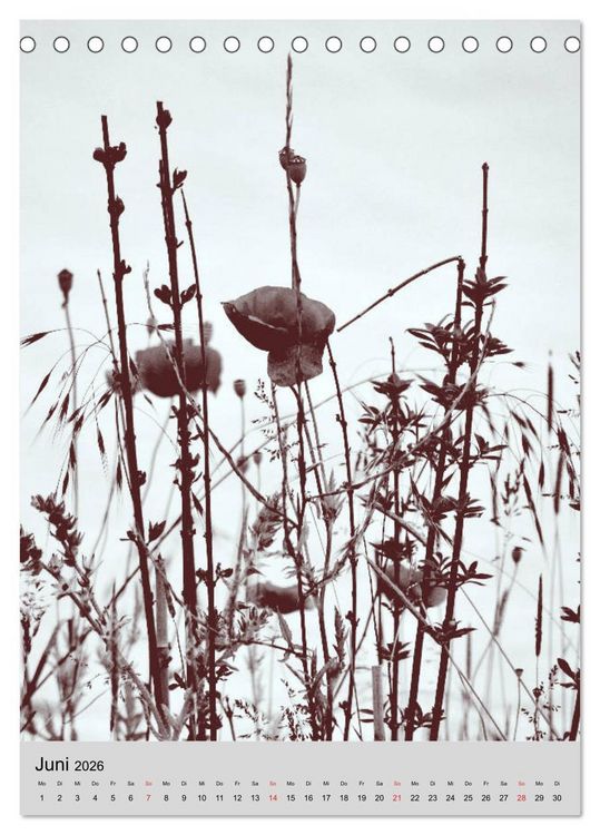 Produktbild: Natur monochrom Die besondere Wirkung (Tischkalender 2026 DIN A5 hoch), CALVENDO Monatskalender