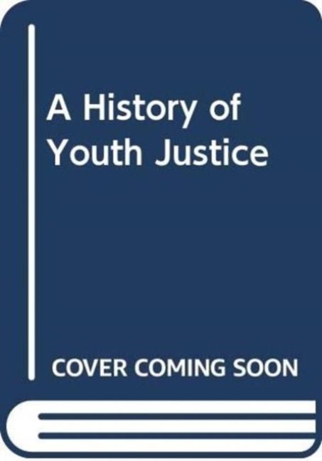 Produktbild: A History of Youth Justice