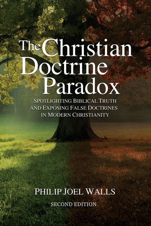 Produktbild: The Christian Doctrine Paradox