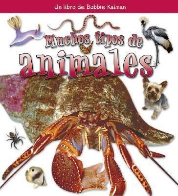 Produktbild: Muchos Tipos de Animales (Many Kinds of Animals)