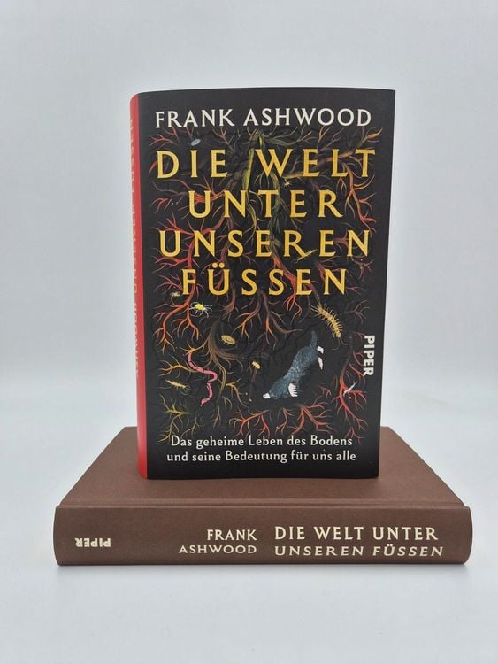 Produktbild: Die Welt unter unseren F&uuml;&szlig;en