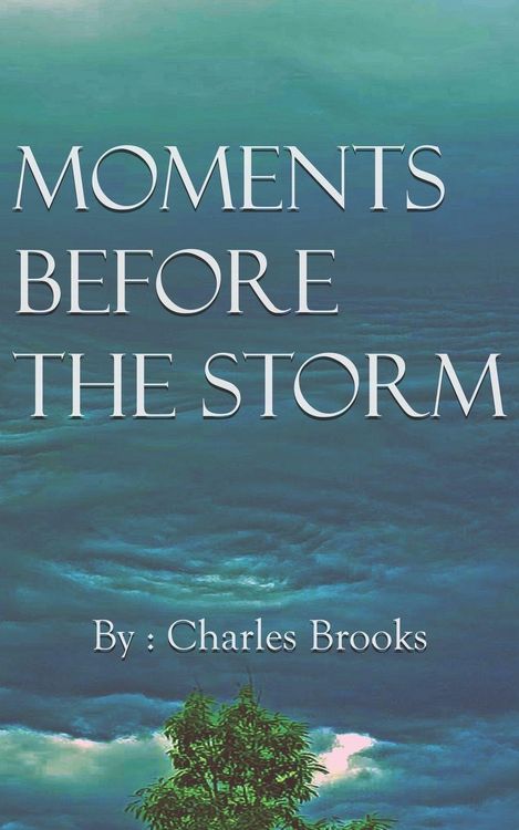 Produktbild: Moments Before the Storm