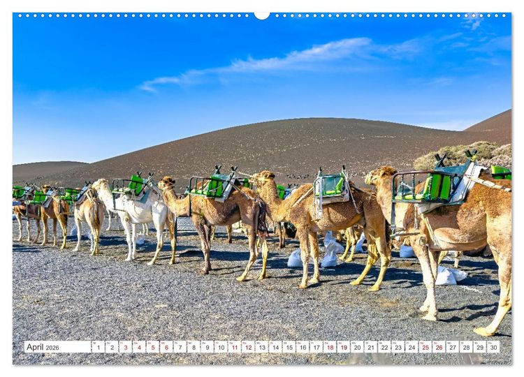 Produktbild: Lanzarote - Wo die Vulkane die Landschaft formten (Wandkalender 2026 DIN A2 quer), CALVENDO Monatskalender
