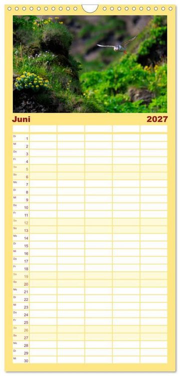 Produktbild: Familienplaner 2027 - Puffins - Papageientaucher auf Island mit 5 Spalten (Wandkalender, 21 x 45 cm) CALVENDO