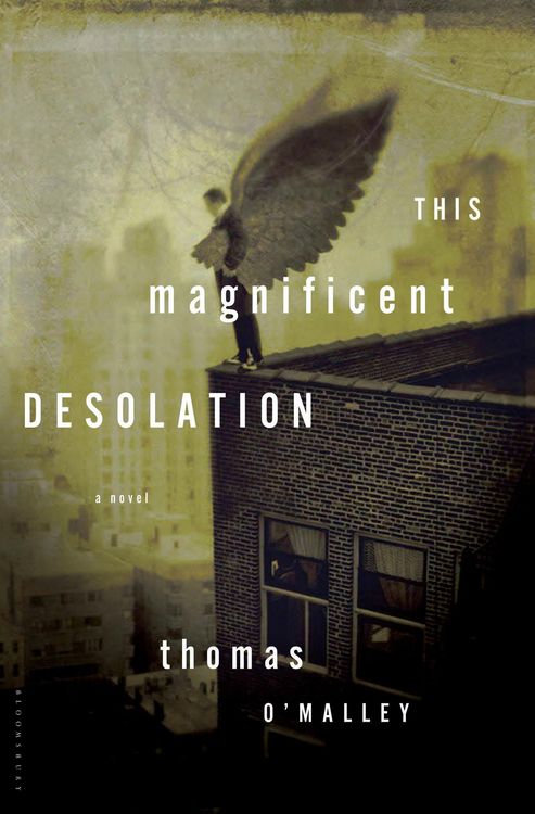 Produktbild: This Magnificent Desolation