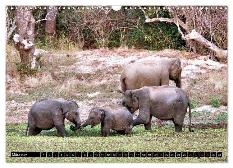 Produktbild: Sri Lanka - Highlights (Wandkalender 2027 DIN A3 quer), CALVENDO Monatskalender