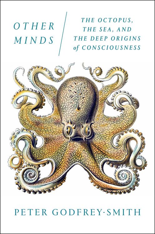 Produktbild: Other Minds