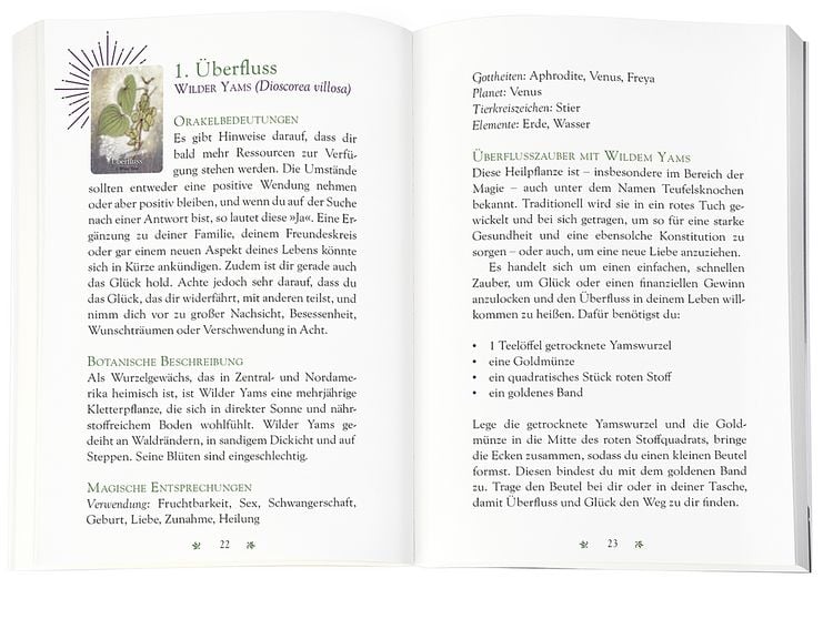Produktbild: Das magische Orakel der Heilpflanzen