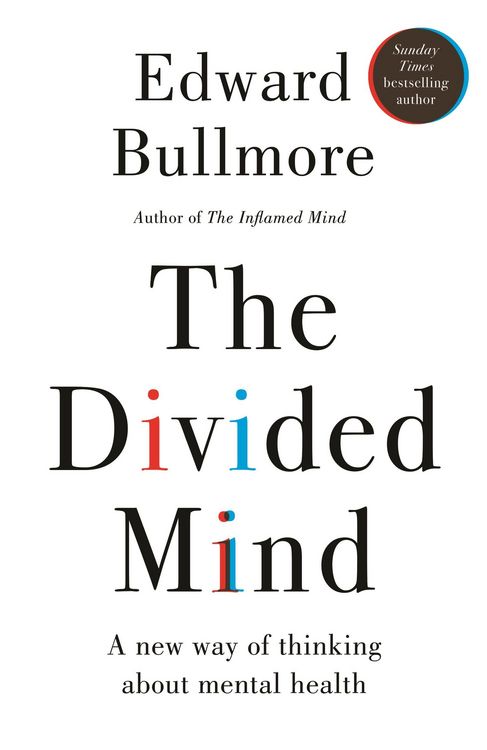Produktbild: The Divided Mind