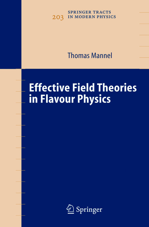 Produktbild: Effective Field Theories in Flavour Physics
