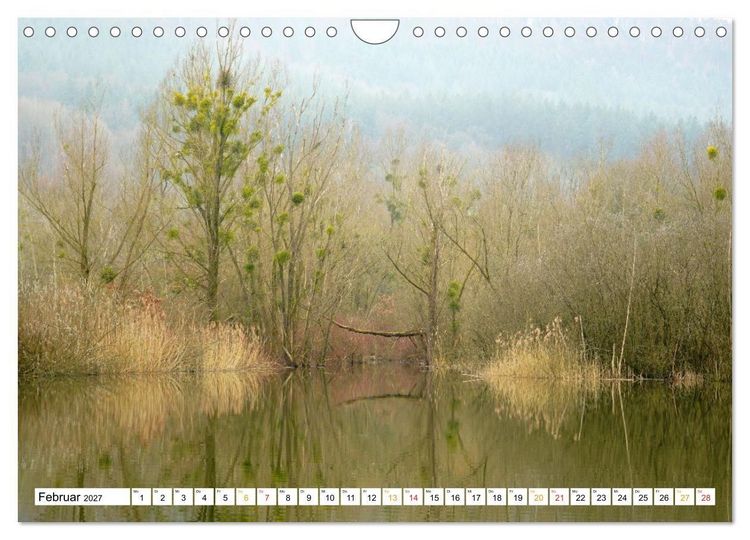 Produktbild: 12 Monate Natur (Wandkalender 2027 DIN A4 quer), CALVENDO Monatskalender