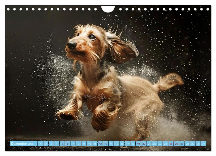 Produktbild: Hunde und Wasser (Wandkalender 2026 DIN A4 quer), CALVENDO Monatskalender