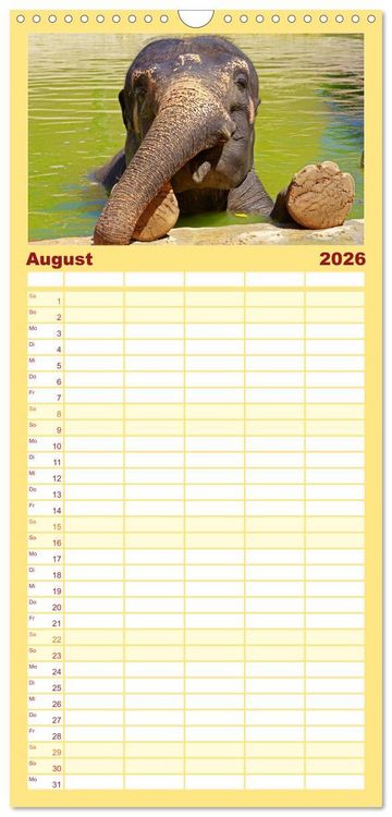 Produktbild: Familienplaner 2026 - Elefanten. Badespa&szlig; am Strand mit 5 Spalten (Wandkalender, 21 x 45 cm) CALVENDO