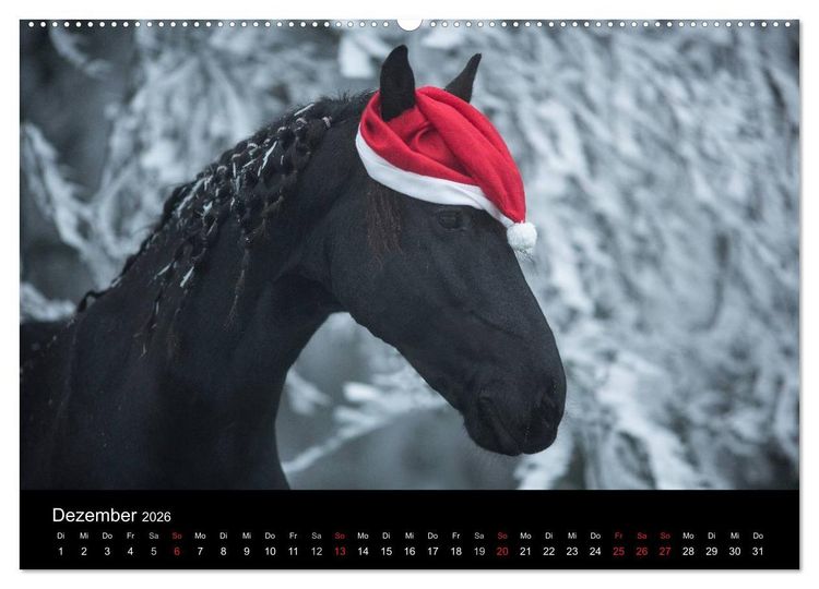 Produktbild: Friesen - Sch&ouml;nheit, Kraft und Eleganz (hochwertiger Premium Wandkalender 2026 DIN A2 quer), Kunstdruck in Hochglanz