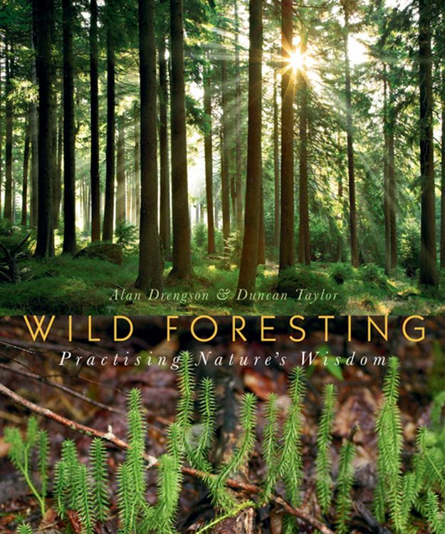 Produktbild: Wild Foresting