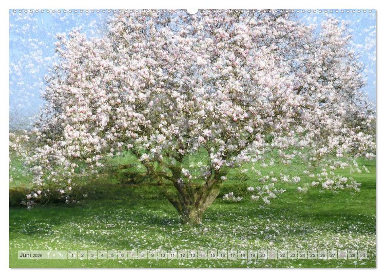 Produktbild: Vielfalt der B&auml;ume - variety of trees (hochwertiger Premium Wandkalender 2026 DIN A2 quer), Kunstdruck in Hochglanz
