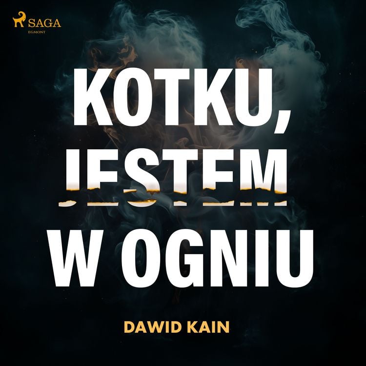 Produktbild: Kotku jestem w ogniu