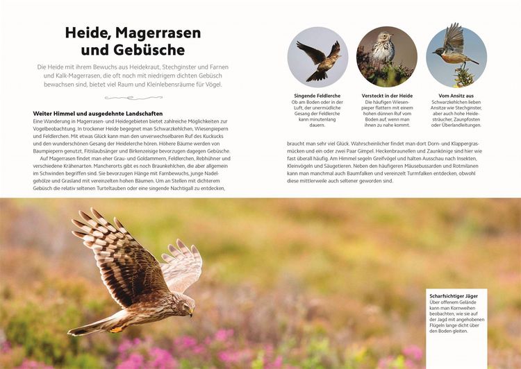 Produktbild: V&ouml;gel beobachten und ihre Lebensr&auml;ume kennenlernen