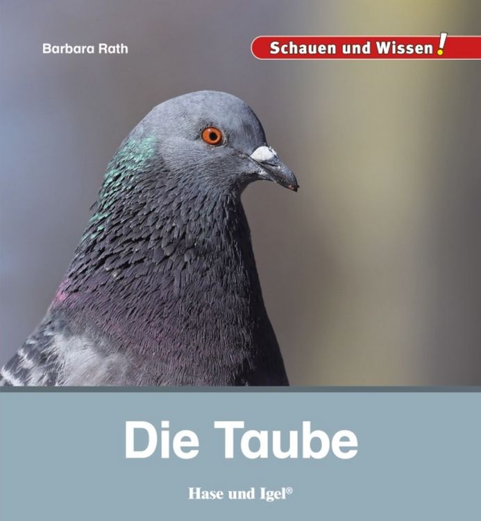 Produktbild: Die Taube