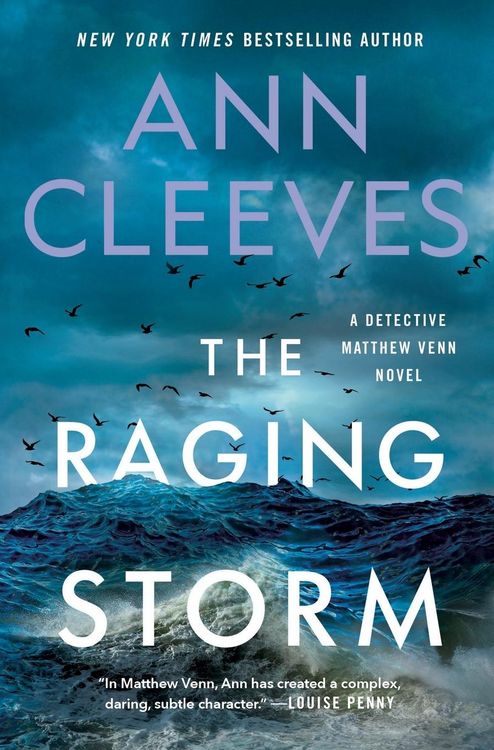 Produktbild: The Raging Storm