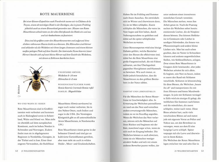 Produktbild: Unsere Wildbienen