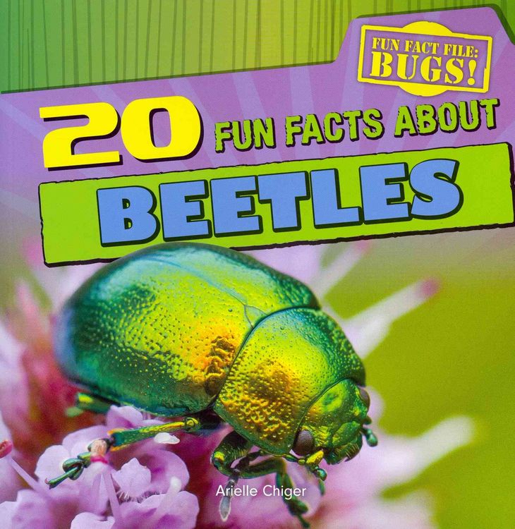 Produktbild: 20 Fun Facts about Beetles