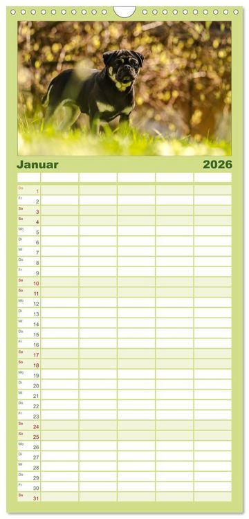 Produktbild: Familienplaner 2026 - M&ouml;pse mit 5 Spalten (Wandkalender, 21 x 45 cm) CALVENDO