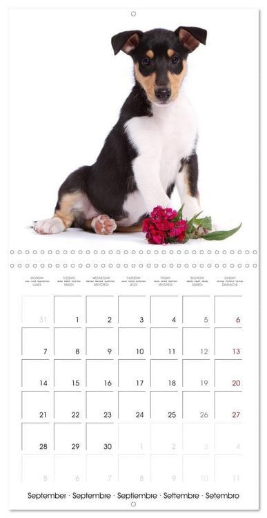 raxxa Premium maandkalender engel 2026 - DIN-A4 hoog