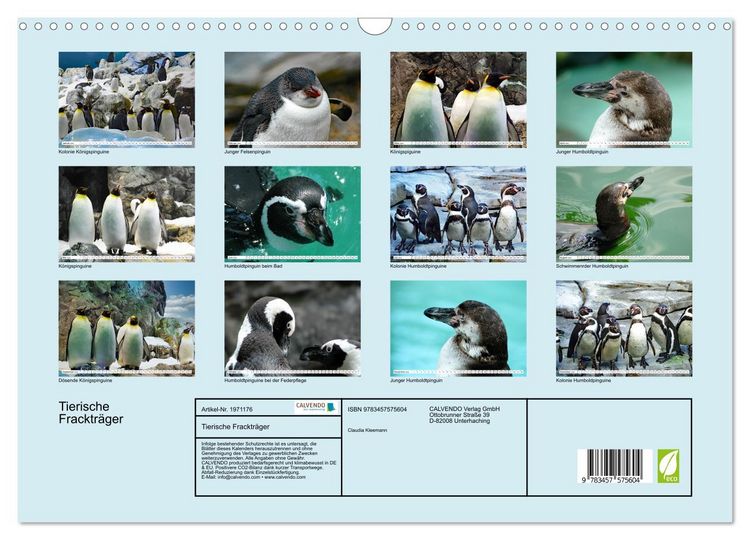 Produktbild: Tierische Fracktr&auml;ger (Wandkalender 2026 DIN A3 quer), CALVENDO Monatskalender