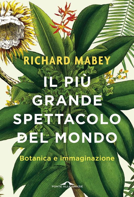 Produktbild: Il pi&ugrave; grande spettacolo del mondo. Botanica e immaginazione